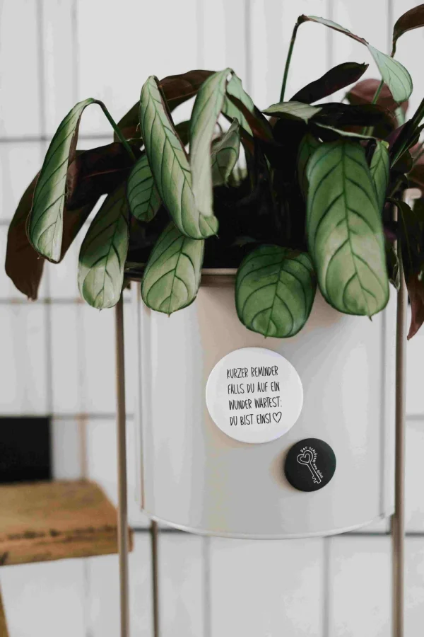 Heldenglück HG Magnet groß Kurzer Reminder- Lovely Stuff