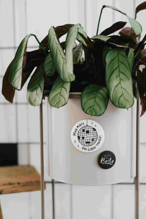 Heldenglück HG Magnet klein Du bist die Beste- Lovely Stuff