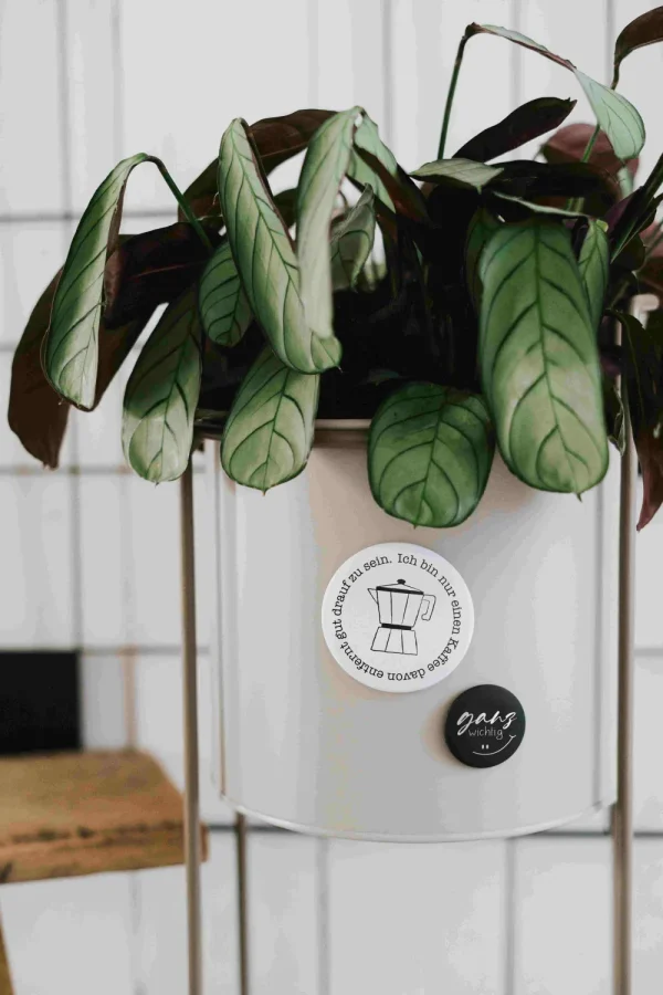 Heldenglück HG Magnet klein Ganz wichtig- Lovely Stuff