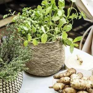 House Doctor Korb, Hang, Natur- Ordnung & Sauberes Zuhause